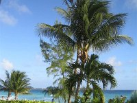 barbados 017